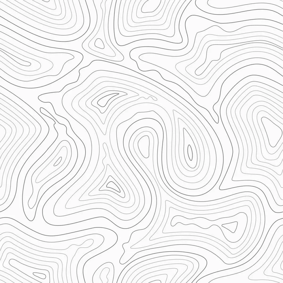 A topographic map